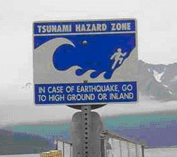 Les Tsunamis - TPE - Institution Sainte Marie - 1re S3 - 2006-2007